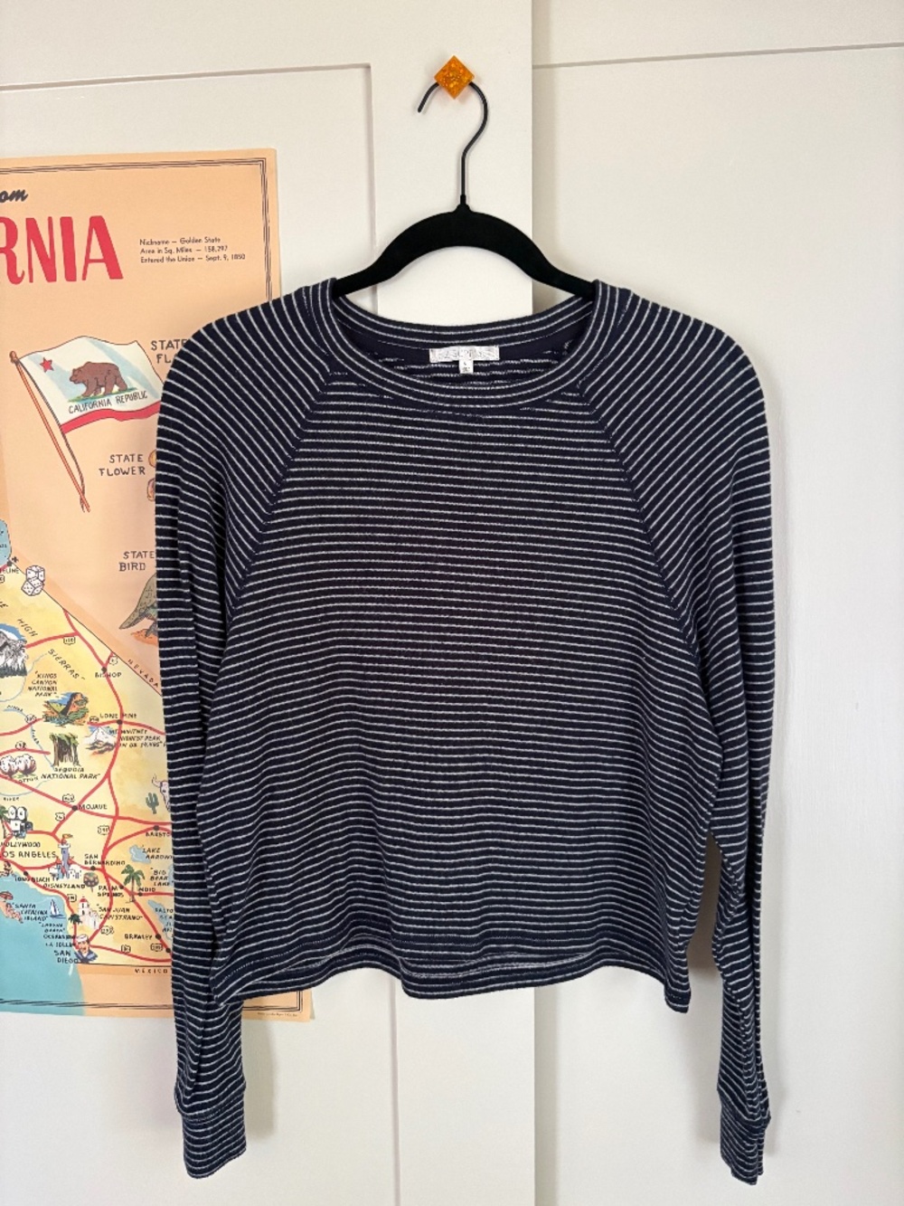 Z Supply Long Sleeve Blue/White Stripe Top